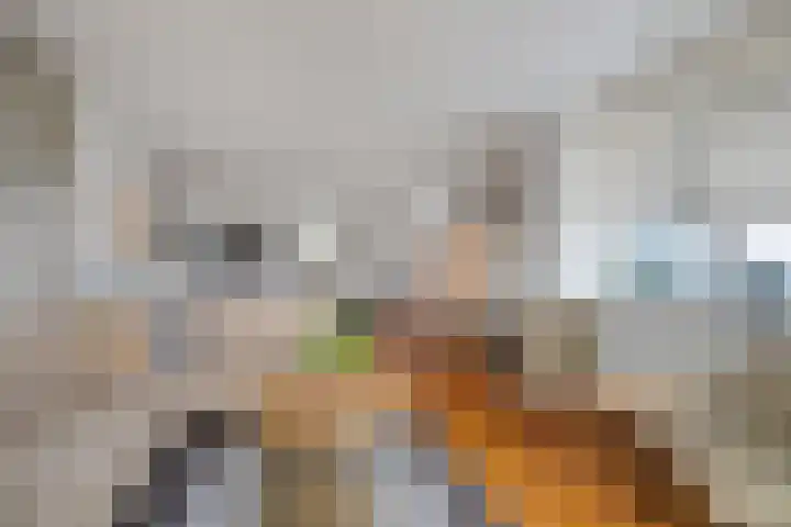 Van Leeuwenhoeklaan 6 Roosendaal thumbnail 8