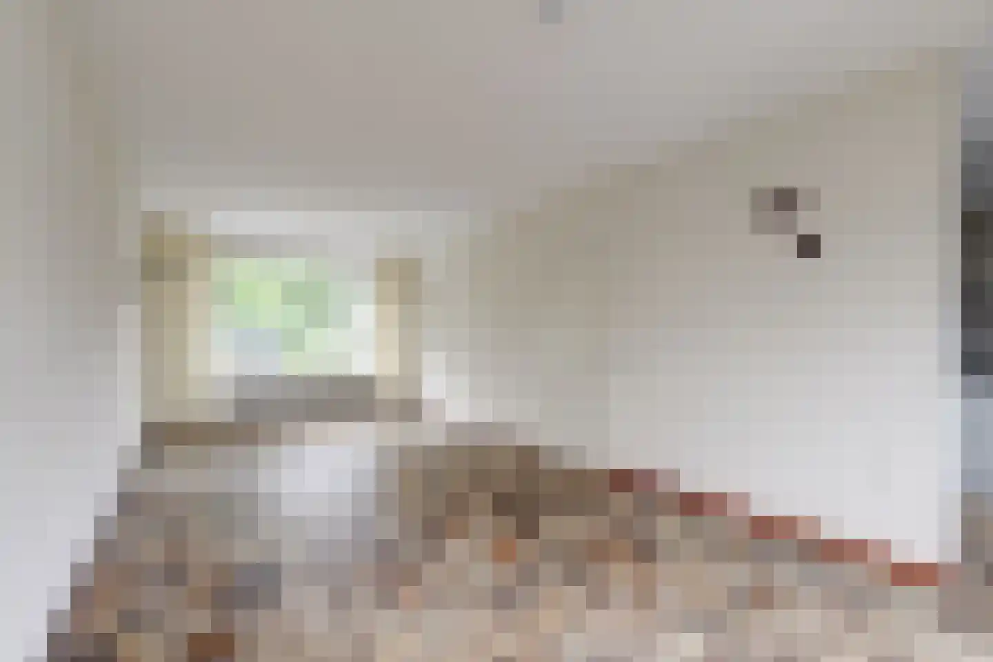 Van Leeuwenhoeklaan 77 Oosterhout thumbnail 11
