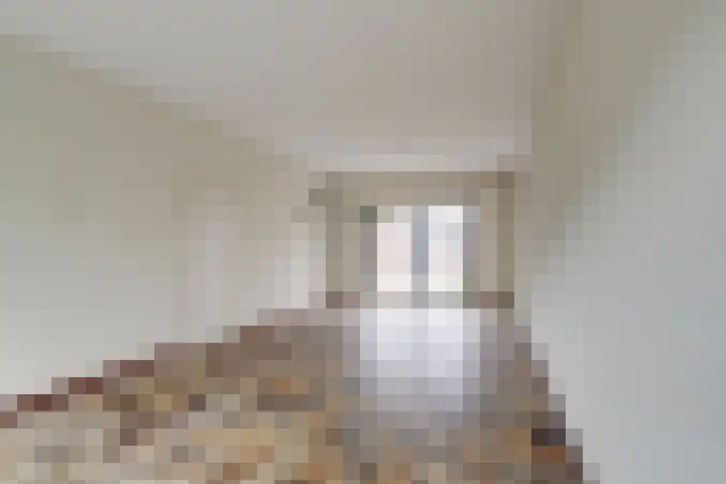 Van Leeuwenhoeklaan 77 Oosterhout thumbnail 13