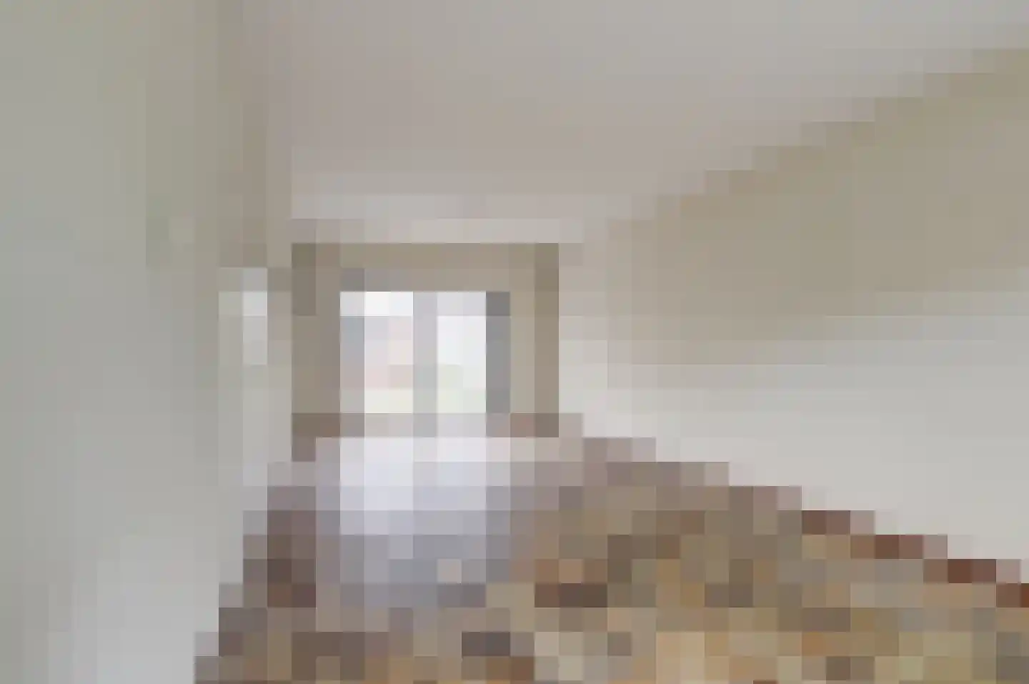 Van Leeuwenhoeklaan 77 Oosterhout thumbnail 14