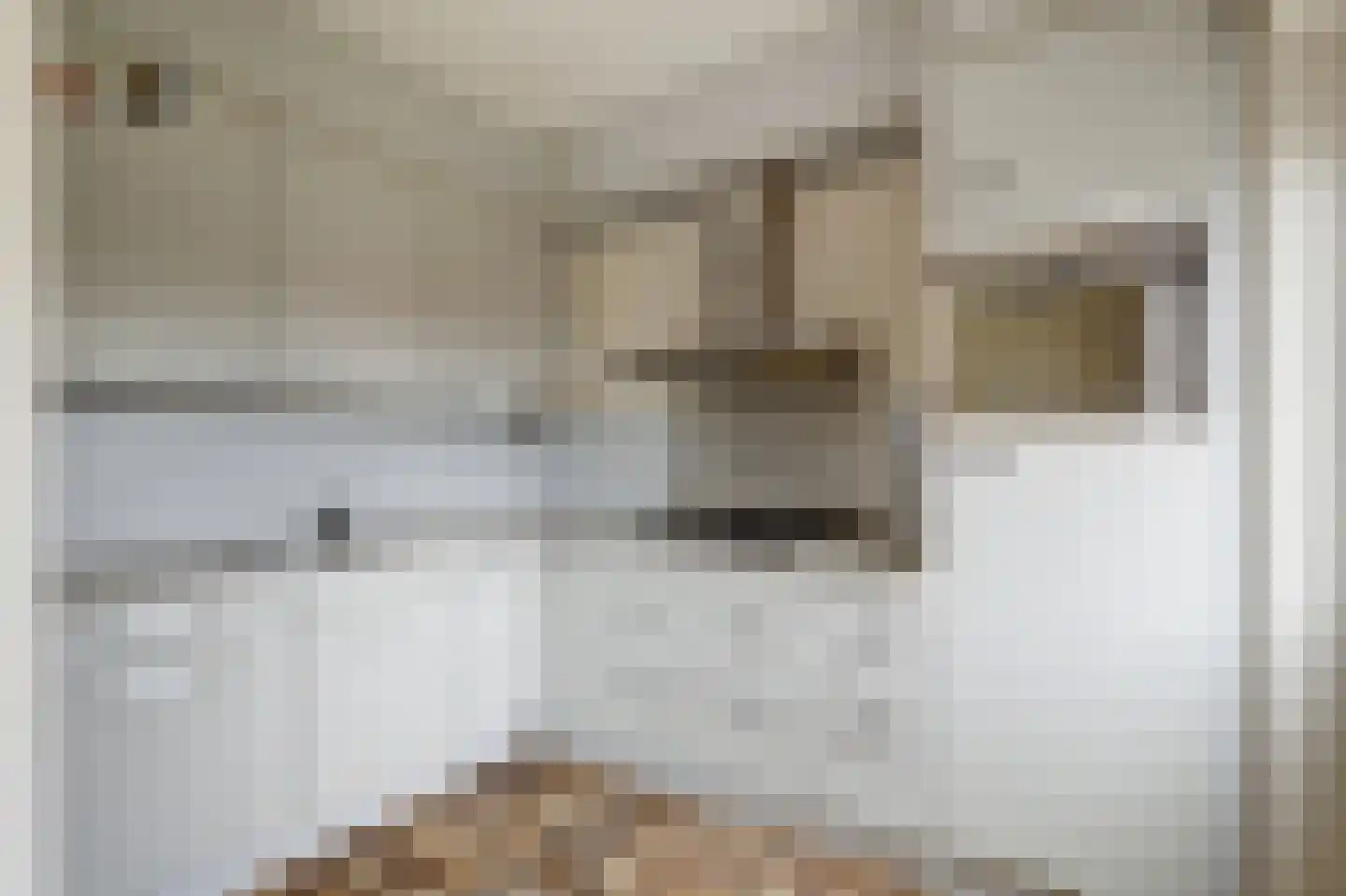 Van Leeuwenhoeklaan 77 Oosterhout thumbnail 16