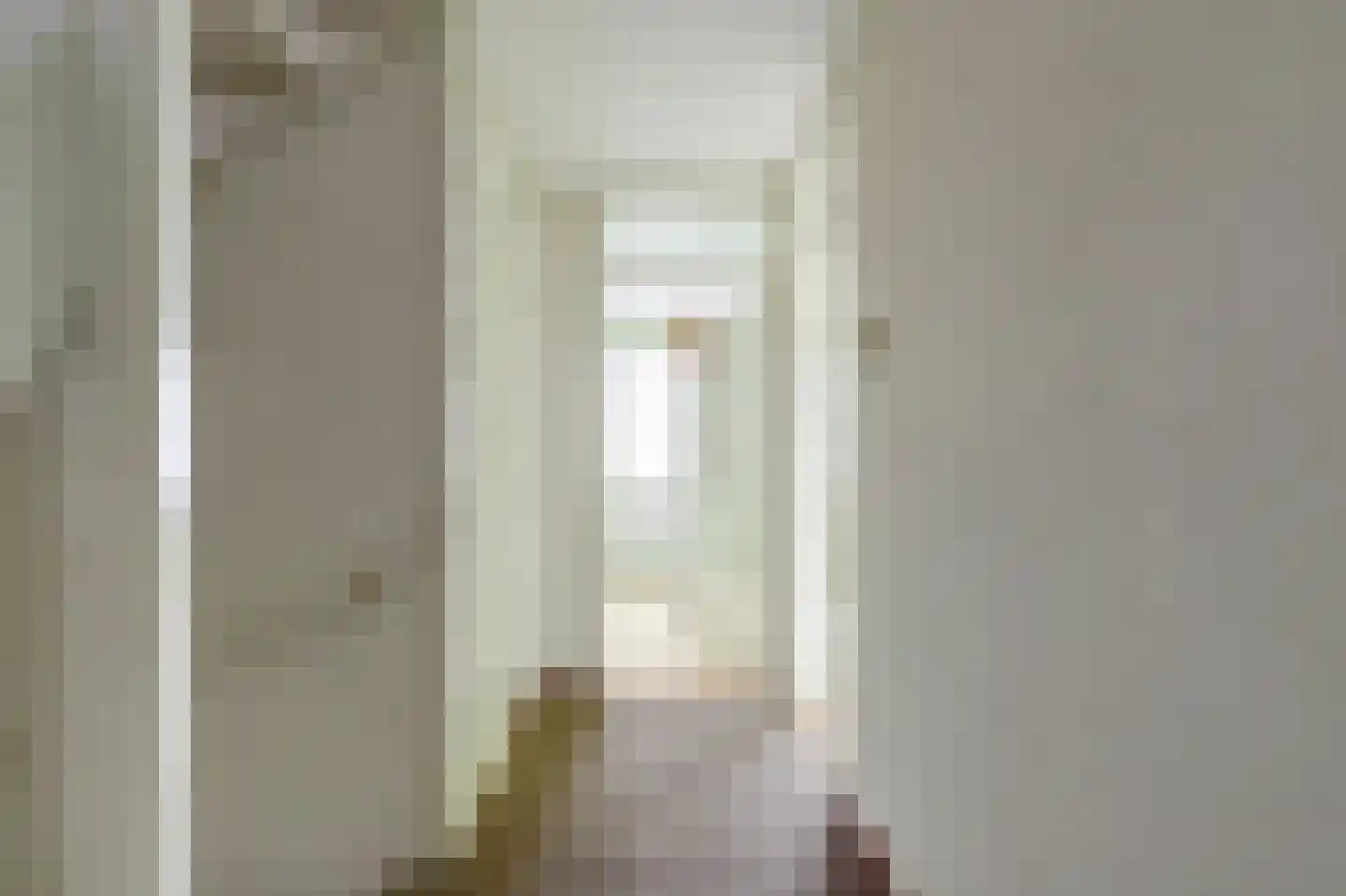 Van Leeuwenhoeklaan 77 Oosterhout thumbnail 26