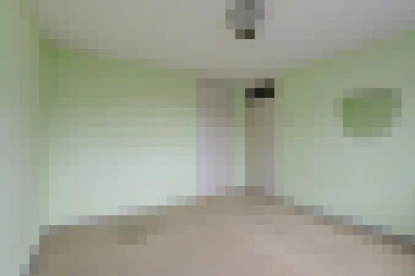 Van Leeuwenhoeklaan 77 Oosterhout thumbnail 33