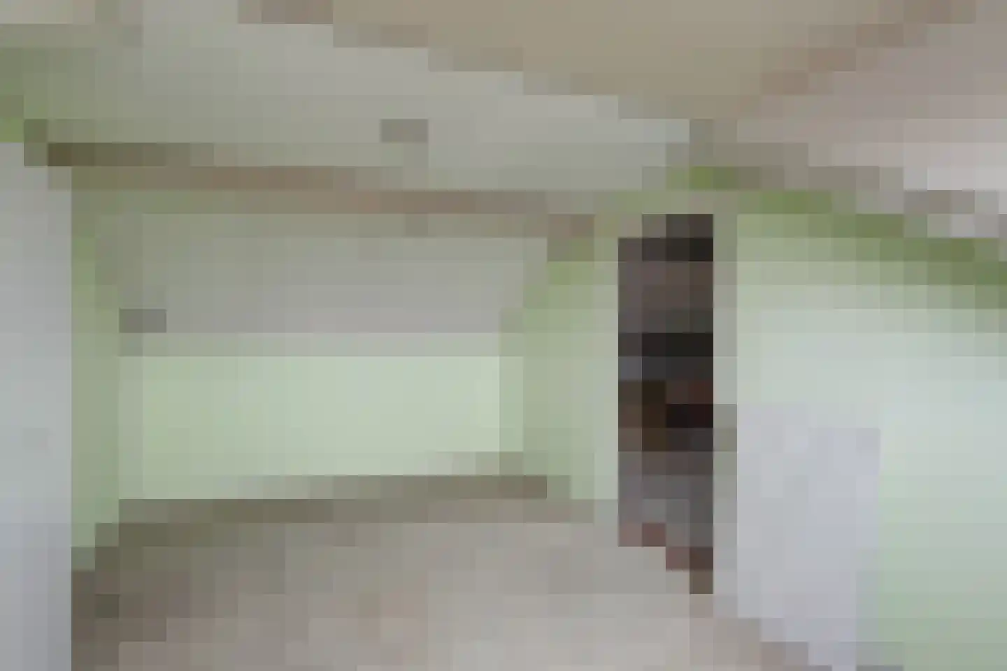 Van Leeuwenhoeklaan 77 Oosterhout thumbnail 40