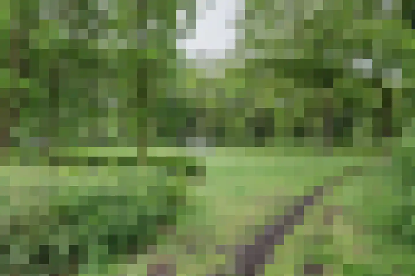 Van Leeuwenhoeklaan 77 Oosterhout thumbnail 43