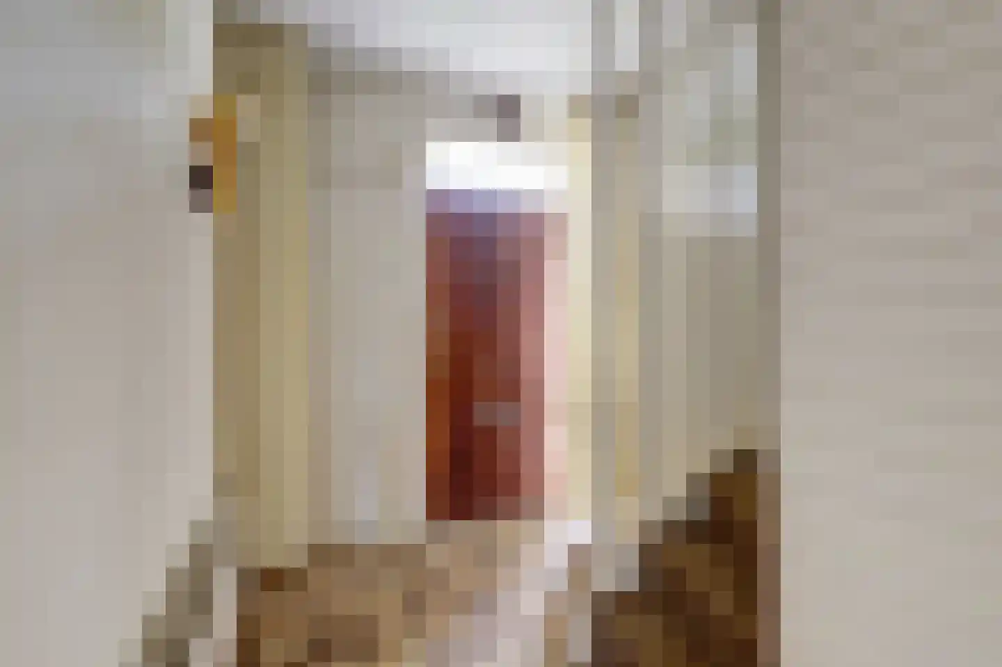 Van Leeuwenhoeklaan 77 Oosterhout thumbnail 9