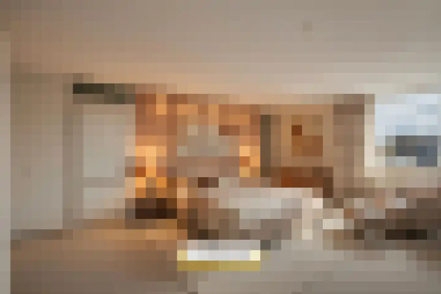 Van Leeuwenhoeklaan 78 Roosendaal thumbnail 33
