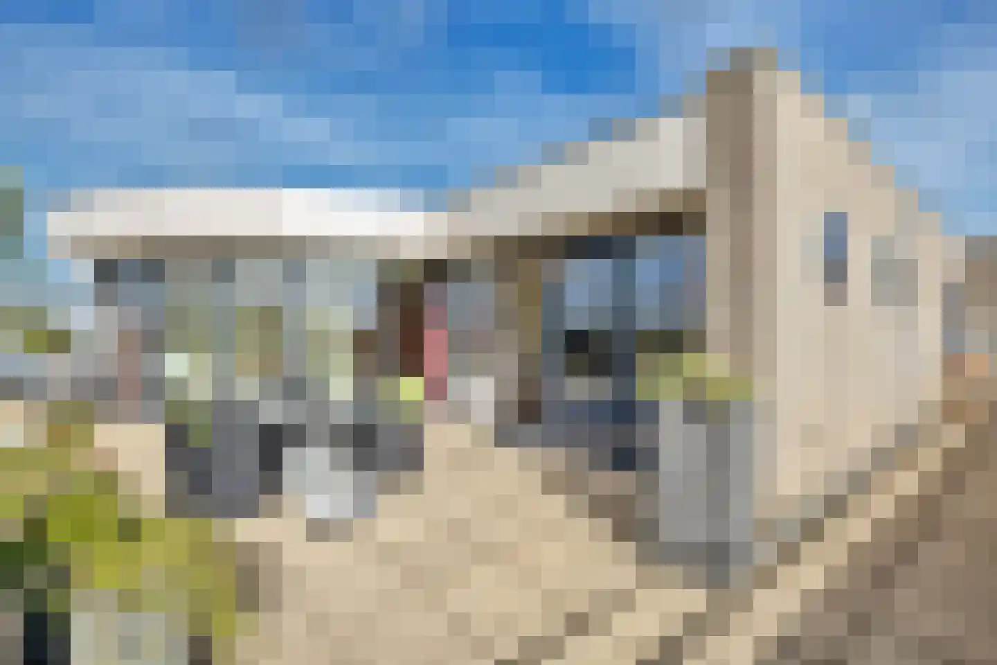 Van Leeuwenhoeklaan 78 Roosendaal thumbnail 46