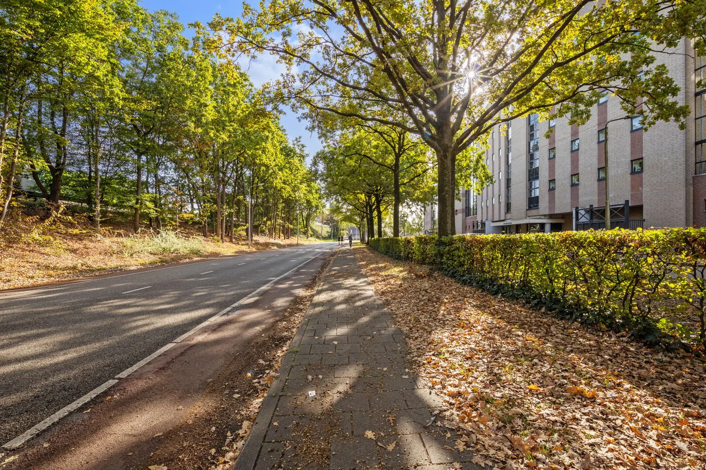 Van Leeuwenhoeklaan 78 Roosendaal thumbnail 65