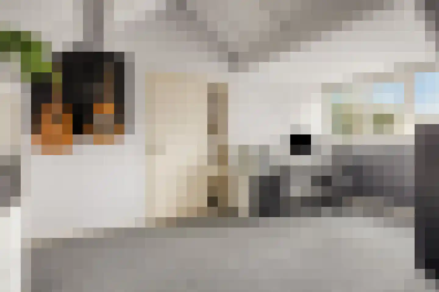 Van Leeuwenhoeklaan 94 Oosterhout thumbnail 23