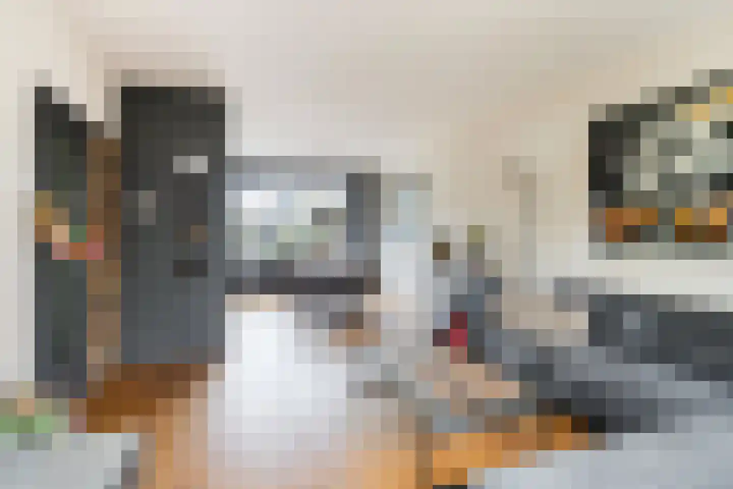 Van Leeuwenhoeklaan 94 Oosterhout thumbnail 5