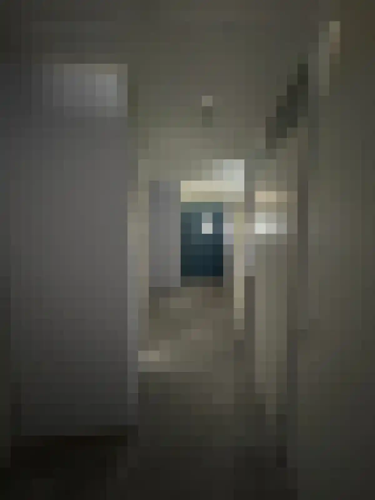Van Leeuwenhoeklaan Roosendaal foto 3