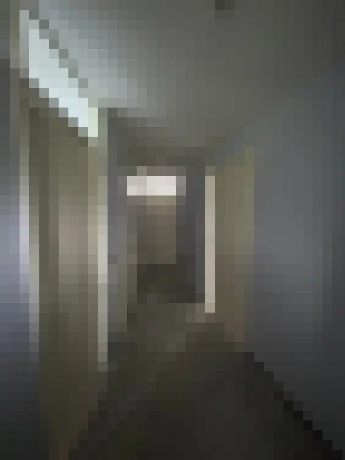 Van Leeuwenhoeklaan Roosendaal thumbnail 4