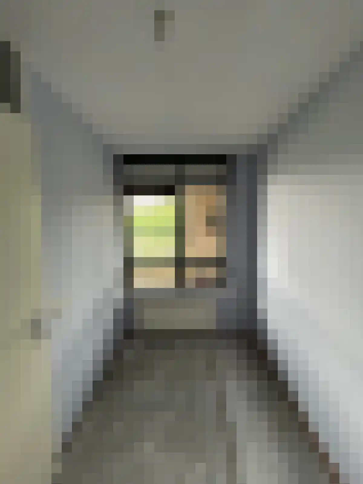 Van Leeuwenhoeklaan Roosendaal thumbnail 6