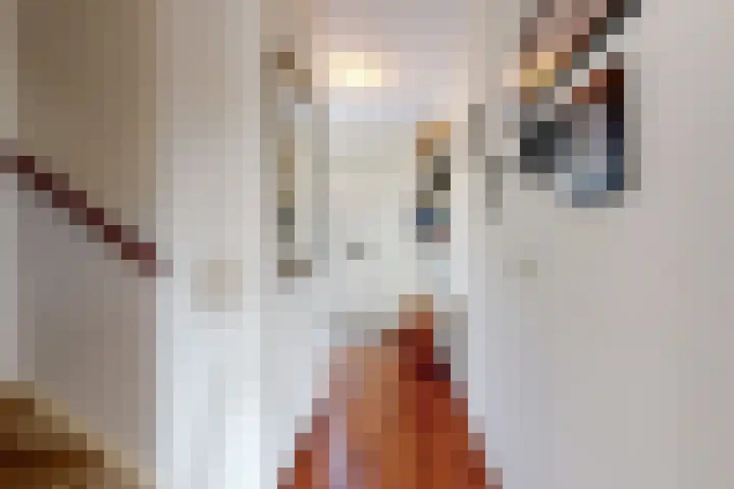 van Leeuwenhoekstraat 1 Kudelstaart thumbnail 15