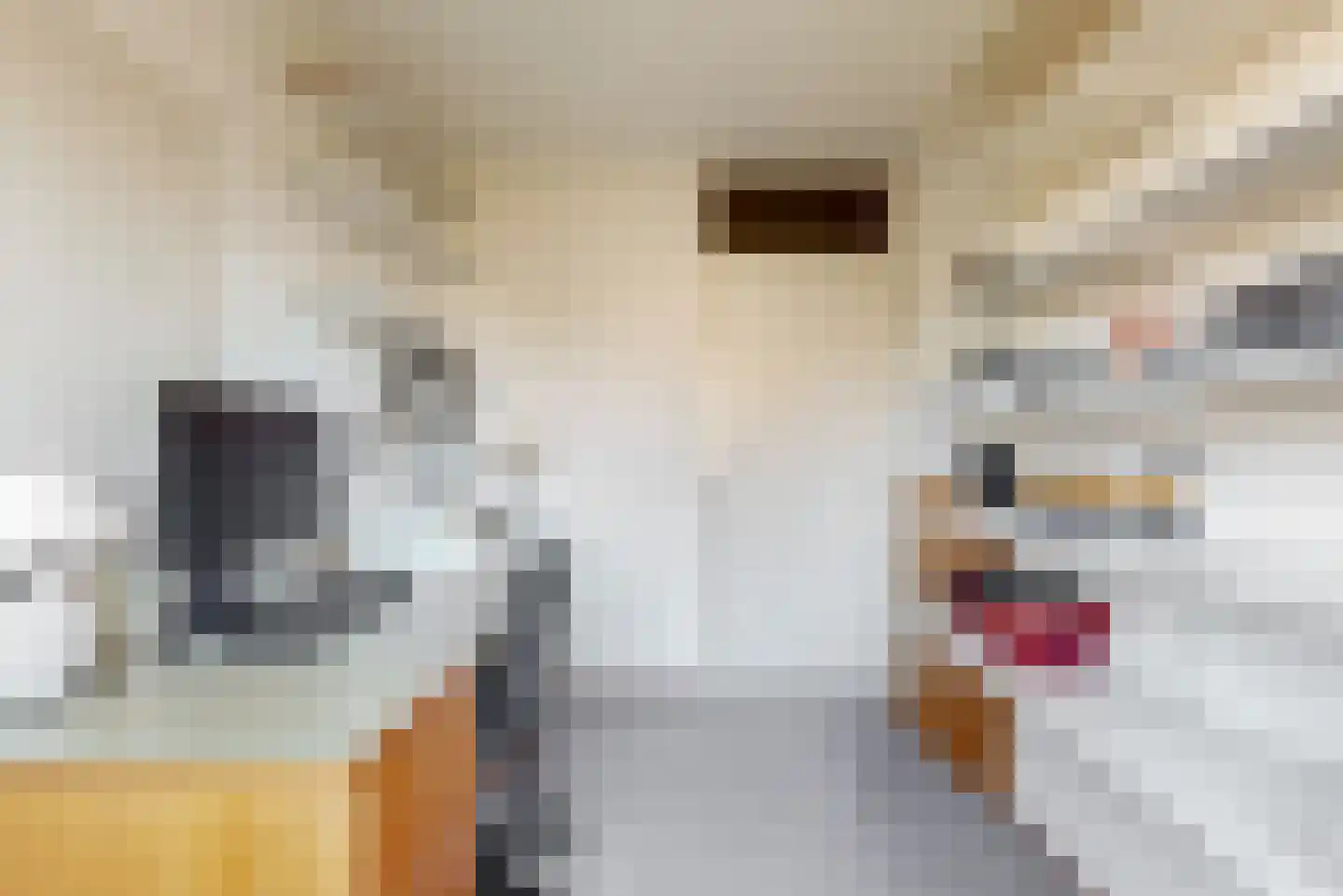 van Leeuwenhoekstraat 1 Kudelstaart thumbnail 17