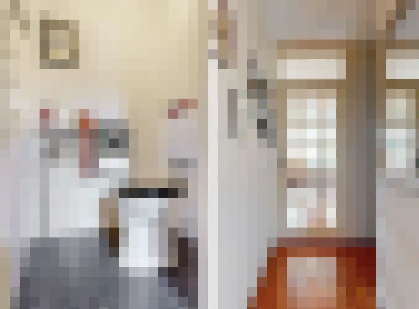 van Leeuwenhoekstraat 1 Kudelstaart thumbnail 5