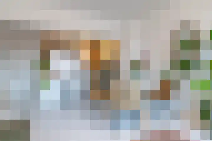 Van Leeuwenhoekstraat 10 Groningen thumbnail 11