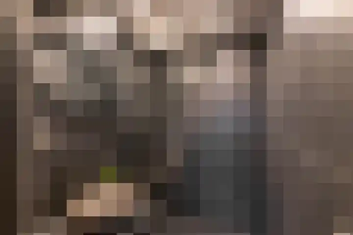Van Leeuwenhoekstraat 10 Groningen thumbnail 19