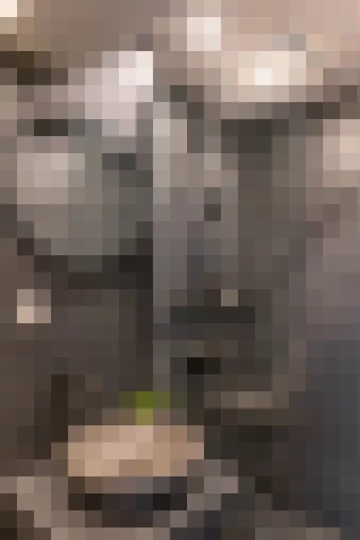 Van Leeuwenhoekstraat 10 Groningen thumbnail 20
