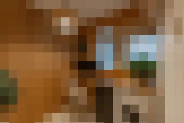 Van Leeuwenhoekstraat 10 Groningen thumbnail 21