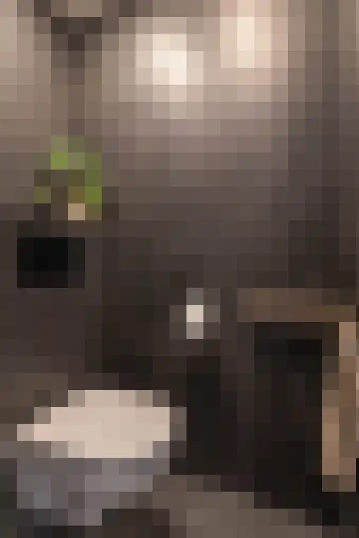 Van Leeuwenhoekstraat 10 Groningen thumbnail 22