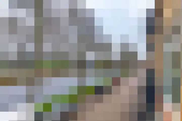 Van Leeuwenhoekstraat 10 Groningen thumbnail 29