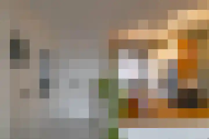 Van Leeuwenhoekstraat 10 Groningen thumbnail 6
