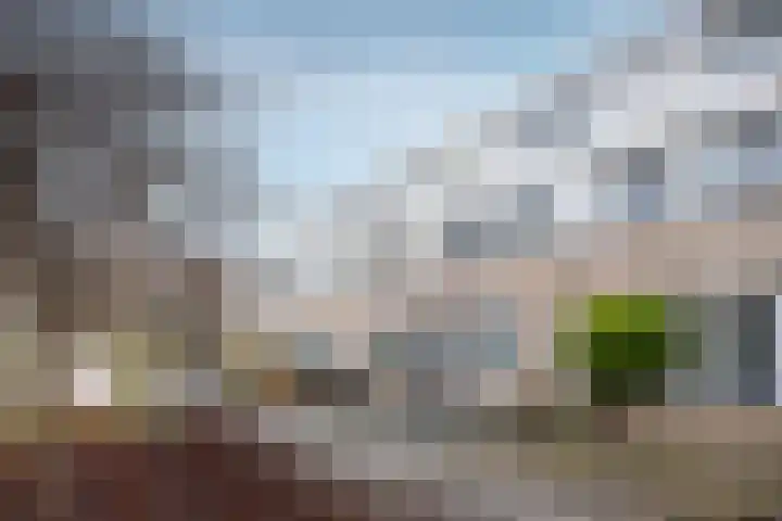 Van Leeuwenhoekstraat 101 en Ridderkerk