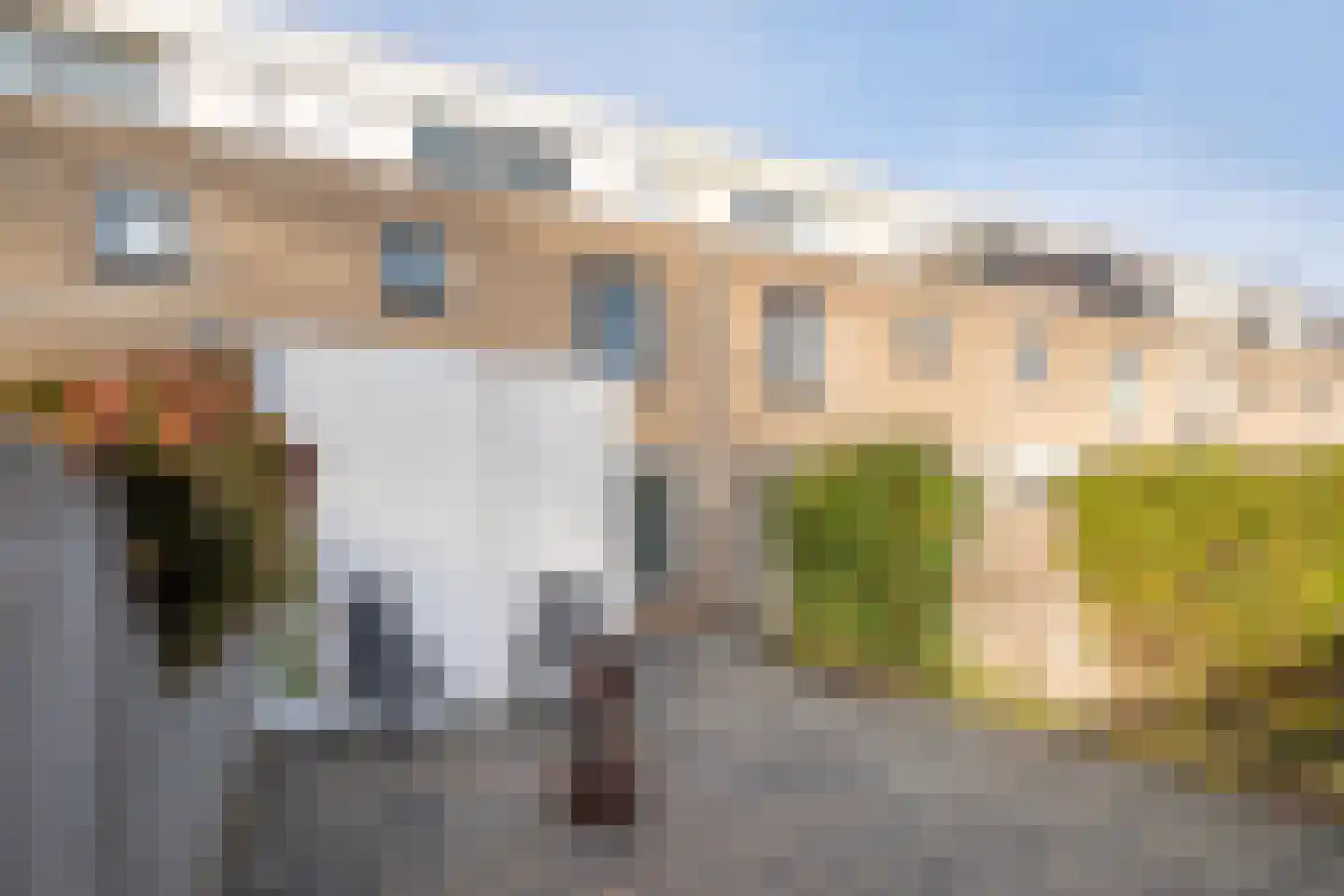 Van Leeuwenhoekstraat 101 Ridderkerk thumbnail 15