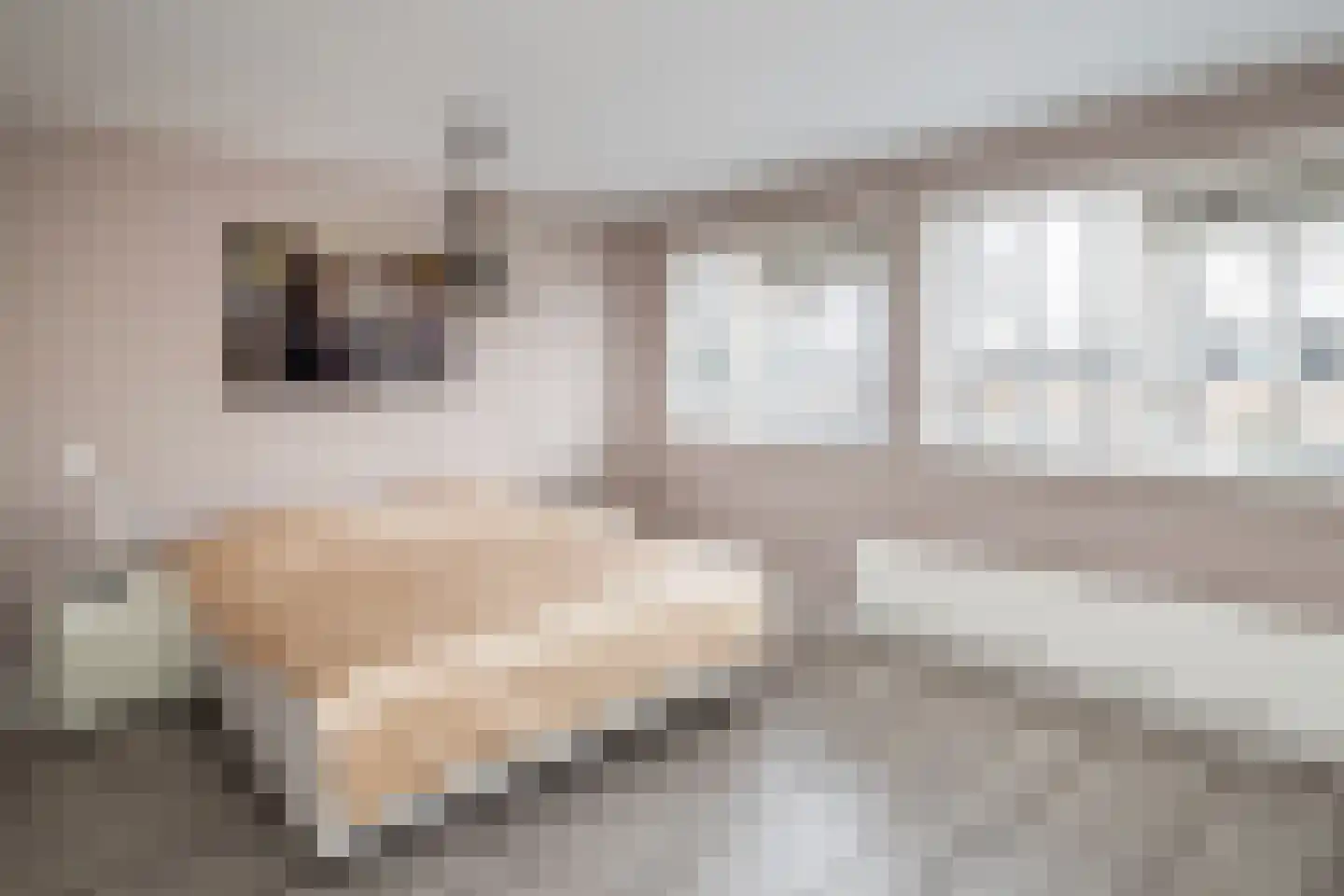 Van Leeuwenhoekstraat 101 Ridderkerk thumbnail 16