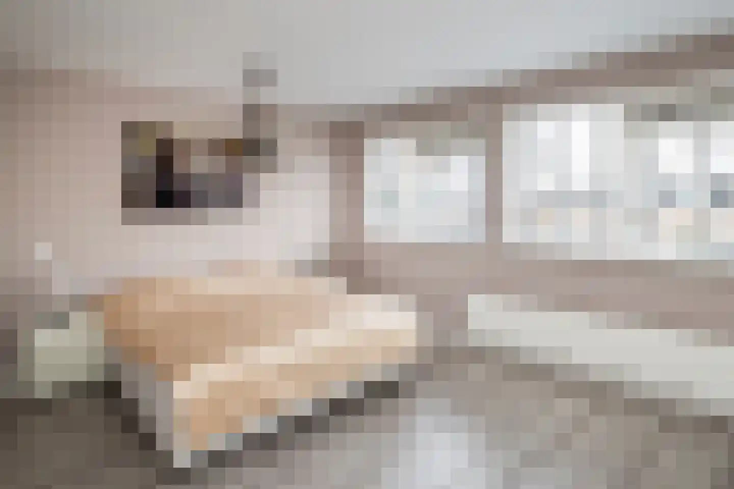 Van Leeuwenhoekstraat 101 Ridderkerk thumbnail 18