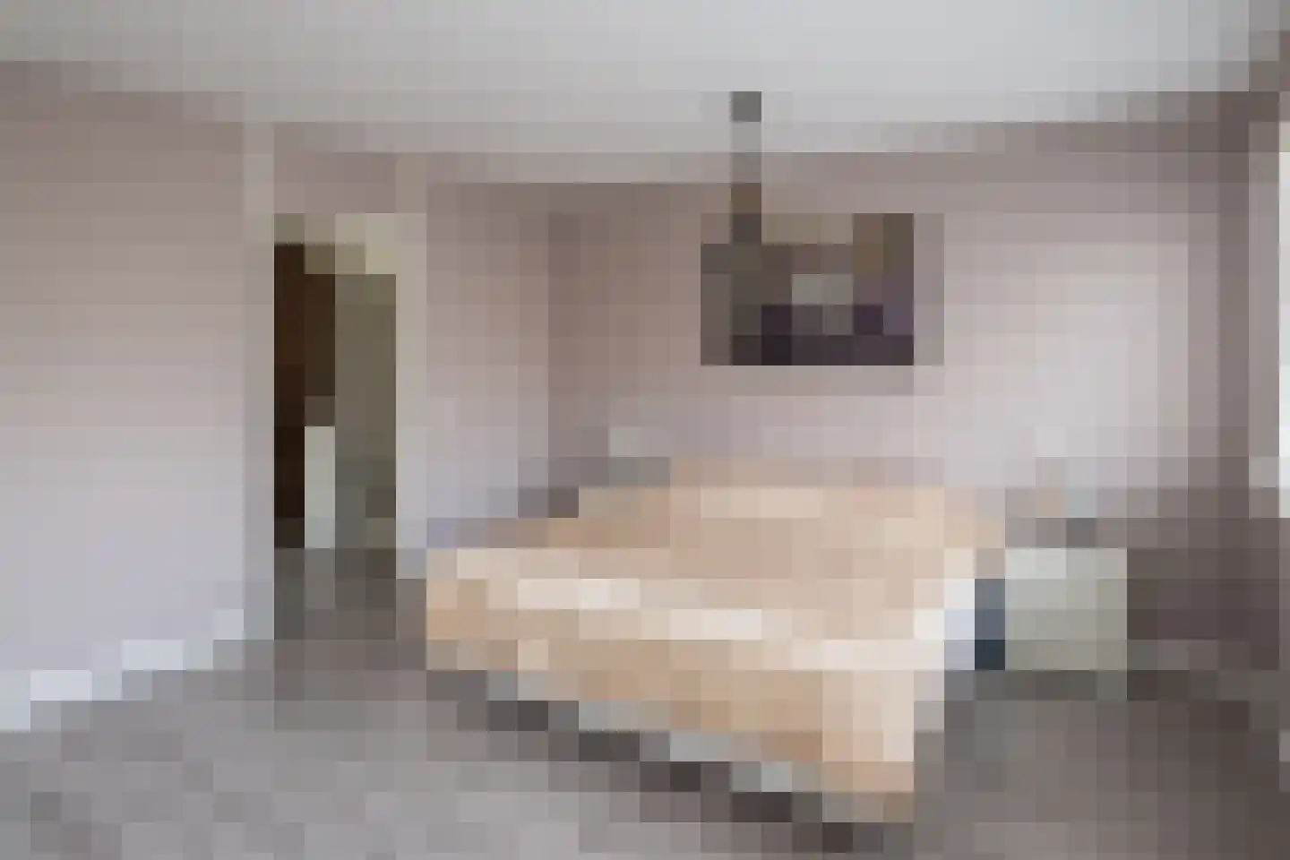 Van Leeuwenhoekstraat 101 Ridderkerk thumbnail 19
