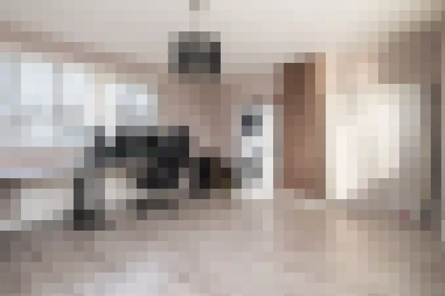Van Leeuwenhoekstraat 101 Ridderkerk thumbnail 22