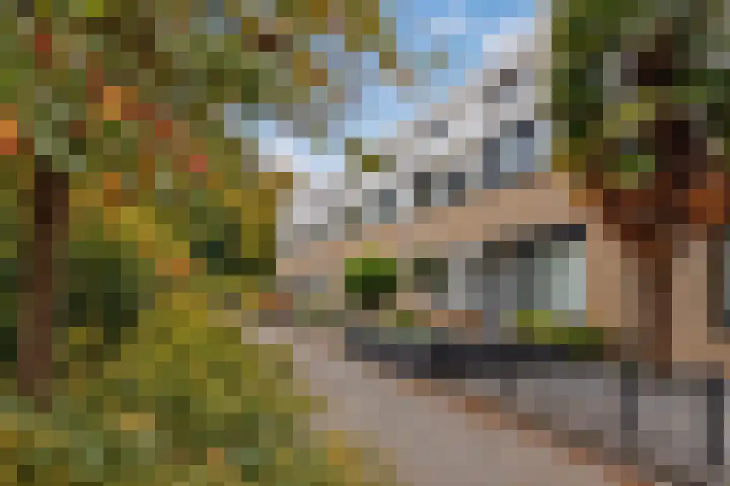 Van Leeuwenhoekstraat 101 Ridderkerk thumbnail 25