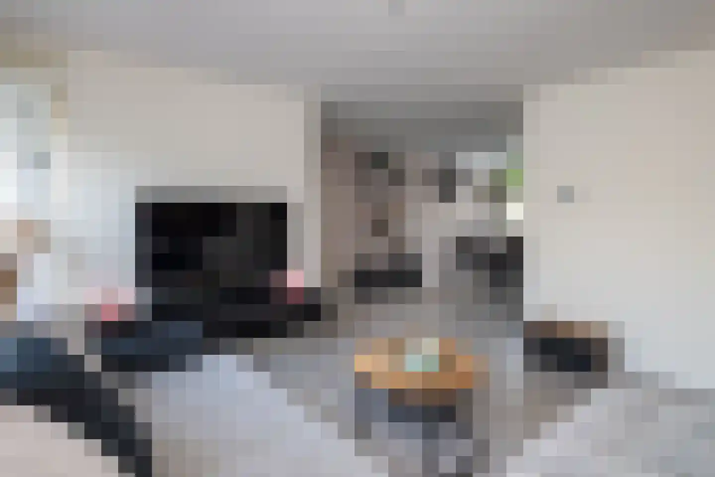 Van Leeuwenhoekstraat 101 Ridderkerk thumbnail 4