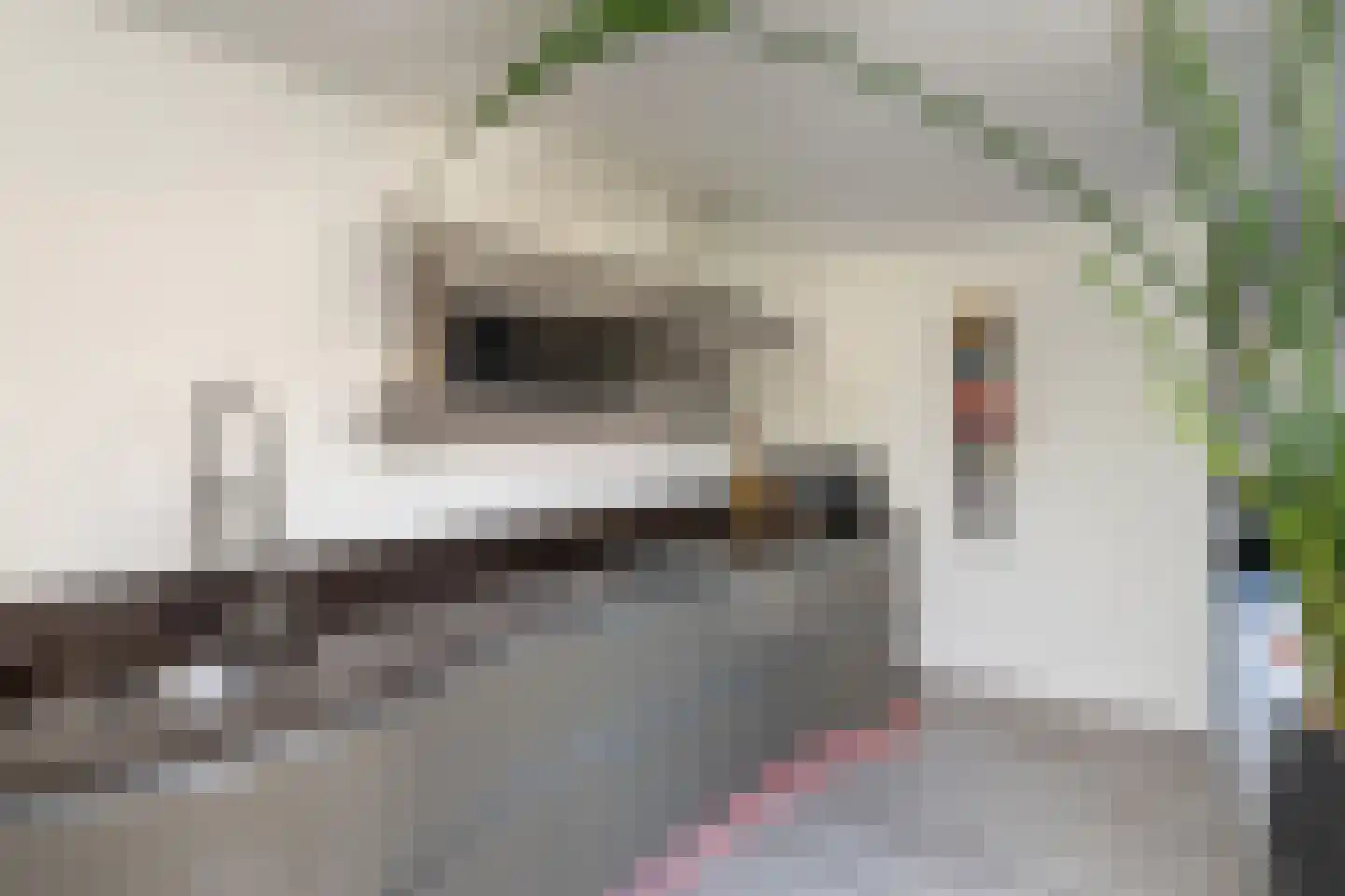 Van Leeuwenhoekstraat 101 Ridderkerk thumbnail 6