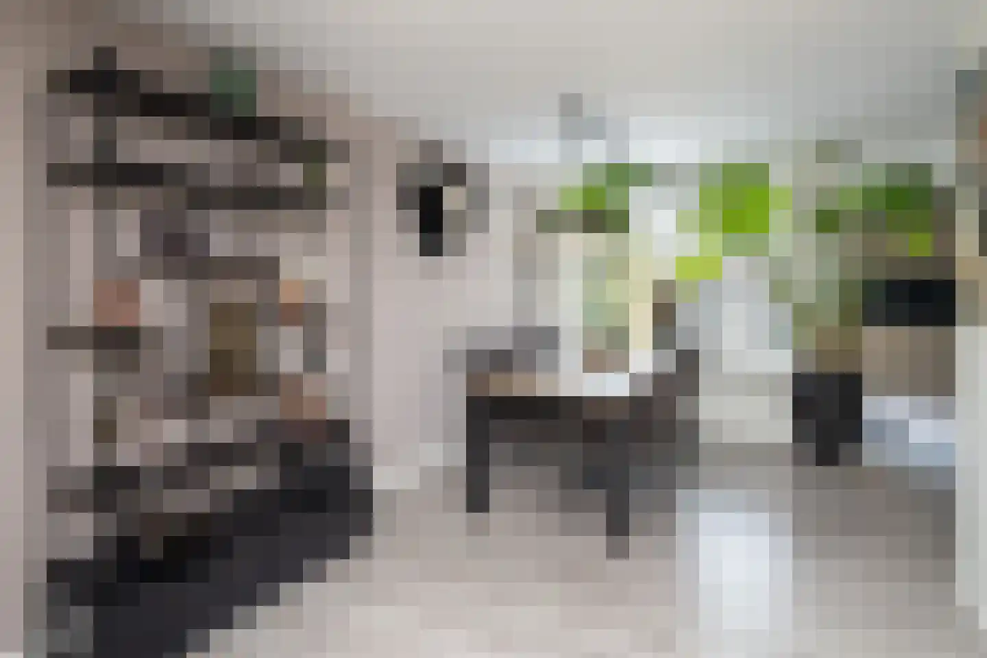 Van Leeuwenhoekstraat 101 Ridderkerk thumbnail 6