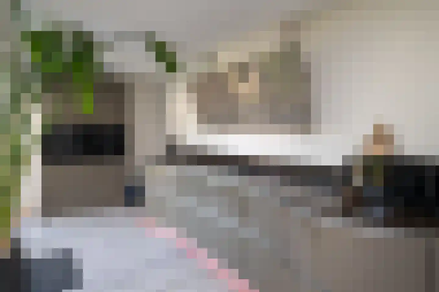 Van Leeuwenhoekstraat 101 Ridderkerk thumbnail 7