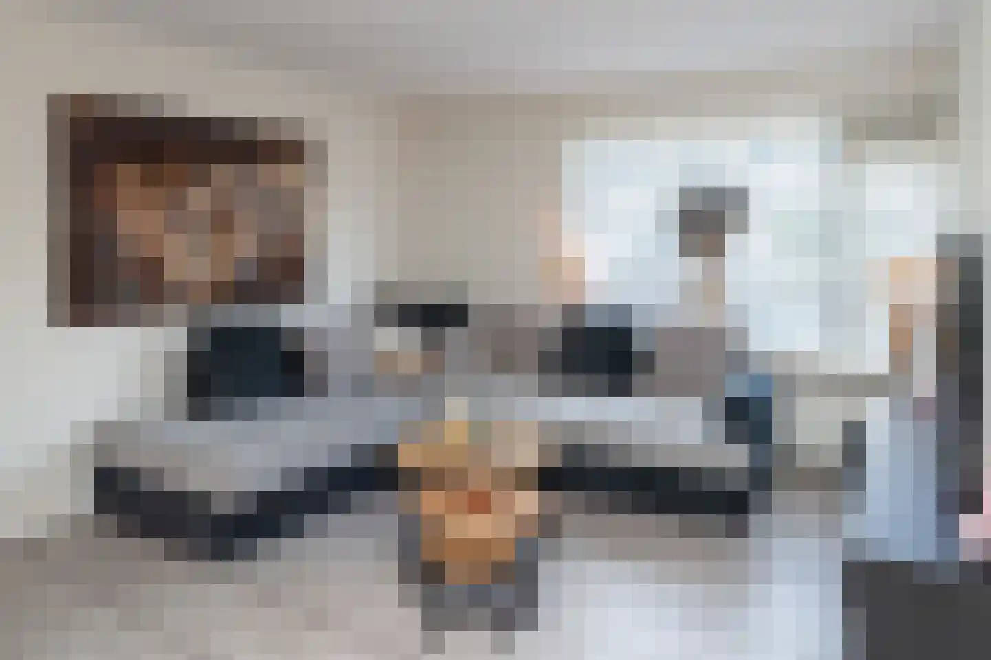 Van Leeuwenhoekstraat 101 Ridderkerk thumbnail 7