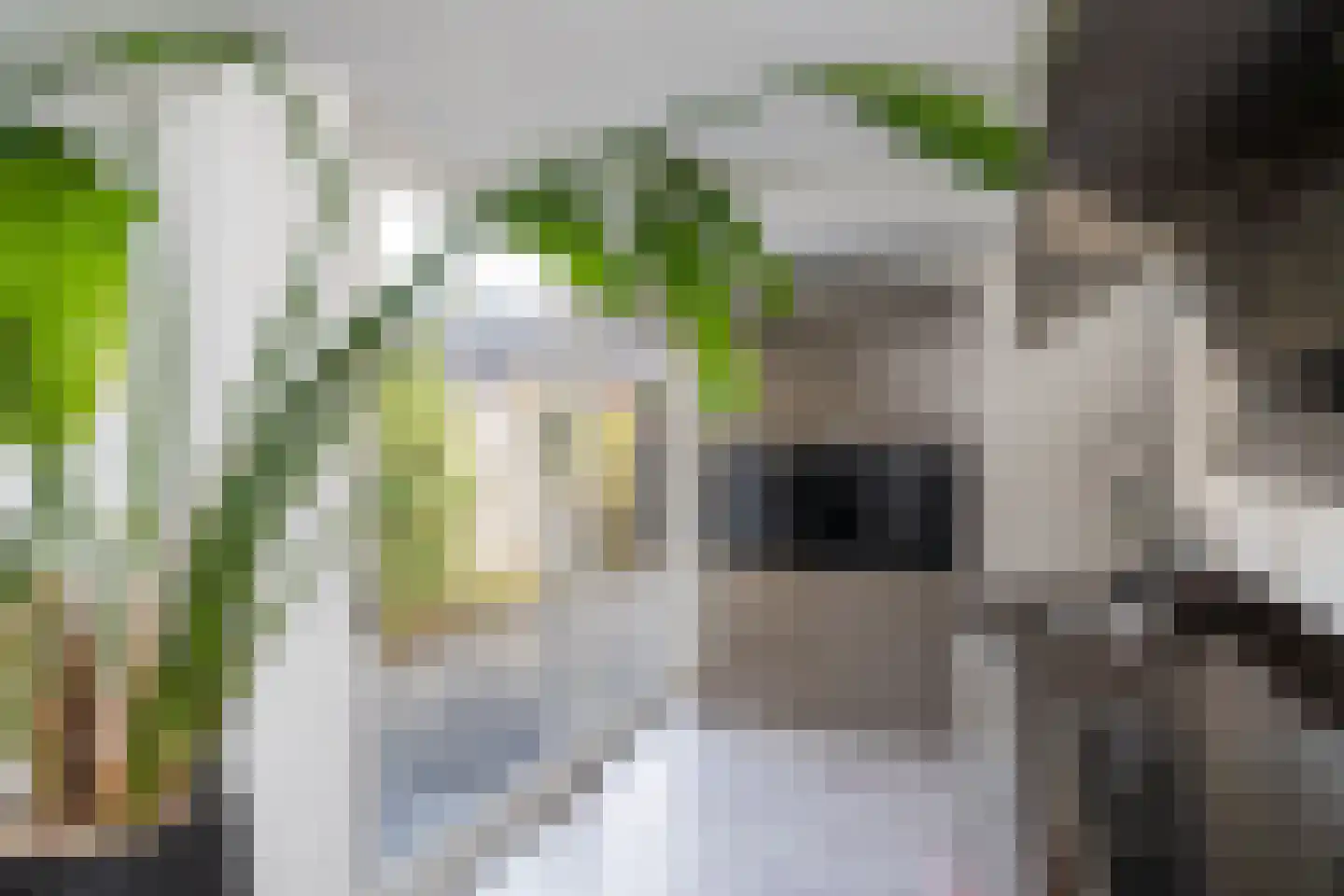 Van Leeuwenhoekstraat 101 Ridderkerk thumbnail 8