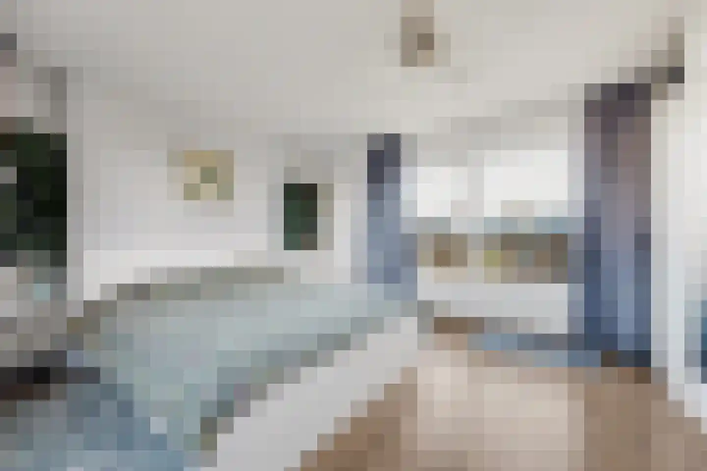 Van Leeuwenhoekstraat 115 Ridderkerk thumbnail 36
