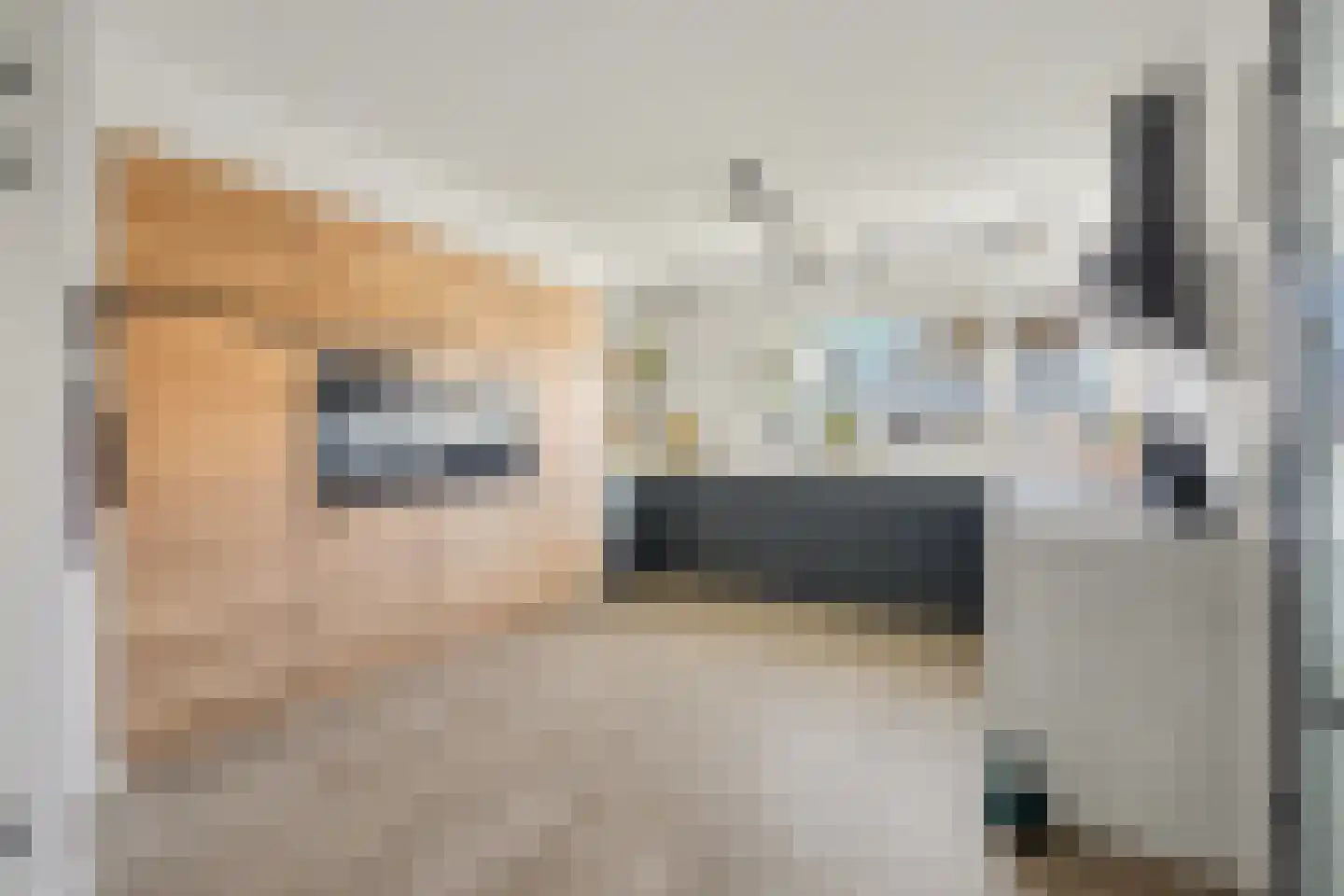Van Leeuwenhoekstraat 115 Ridderkerk thumbnail 4