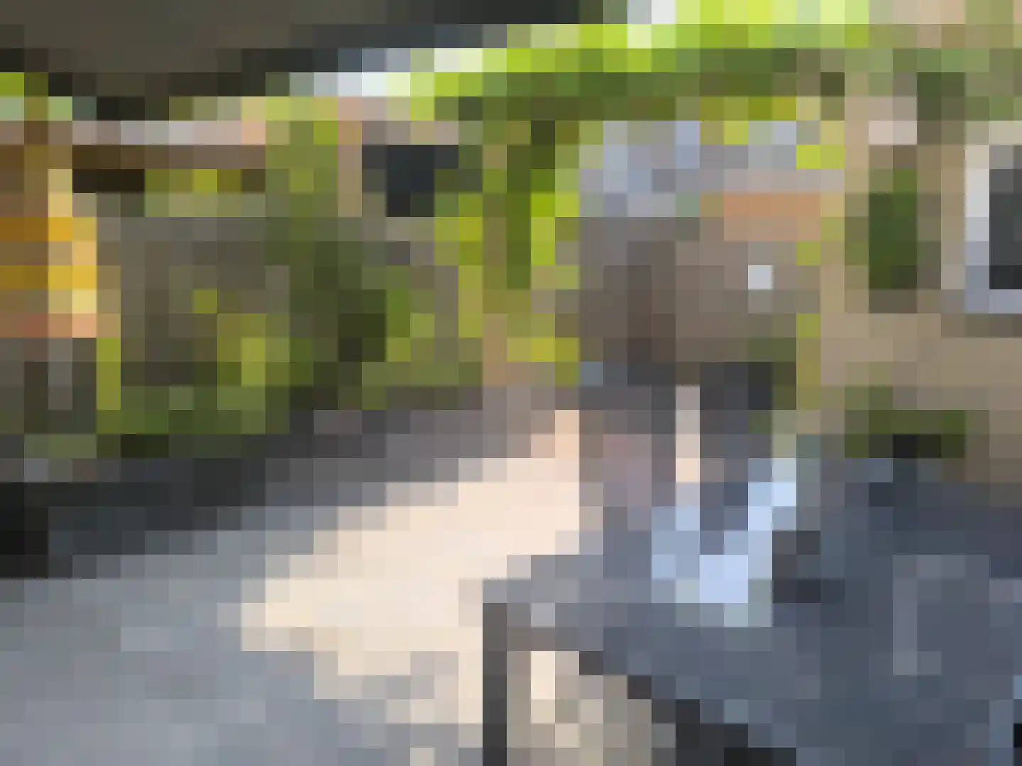 Van Leeuwenhoekstraat 115 Ridderkerk thumbnail 41