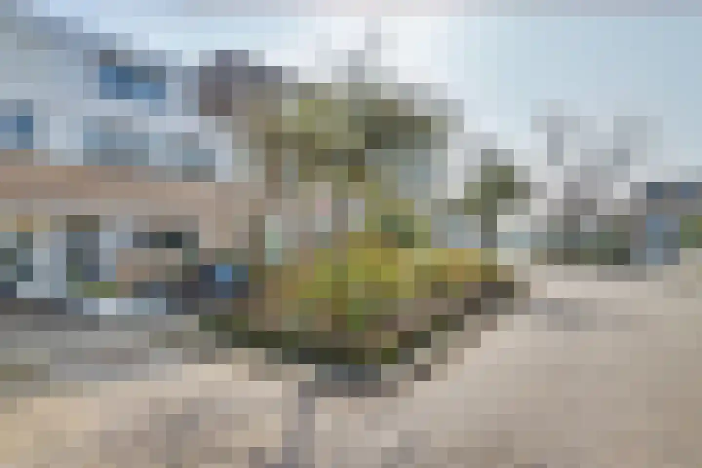 Van Leeuwenhoekstraat 115 Ridderkerk thumbnail 51
