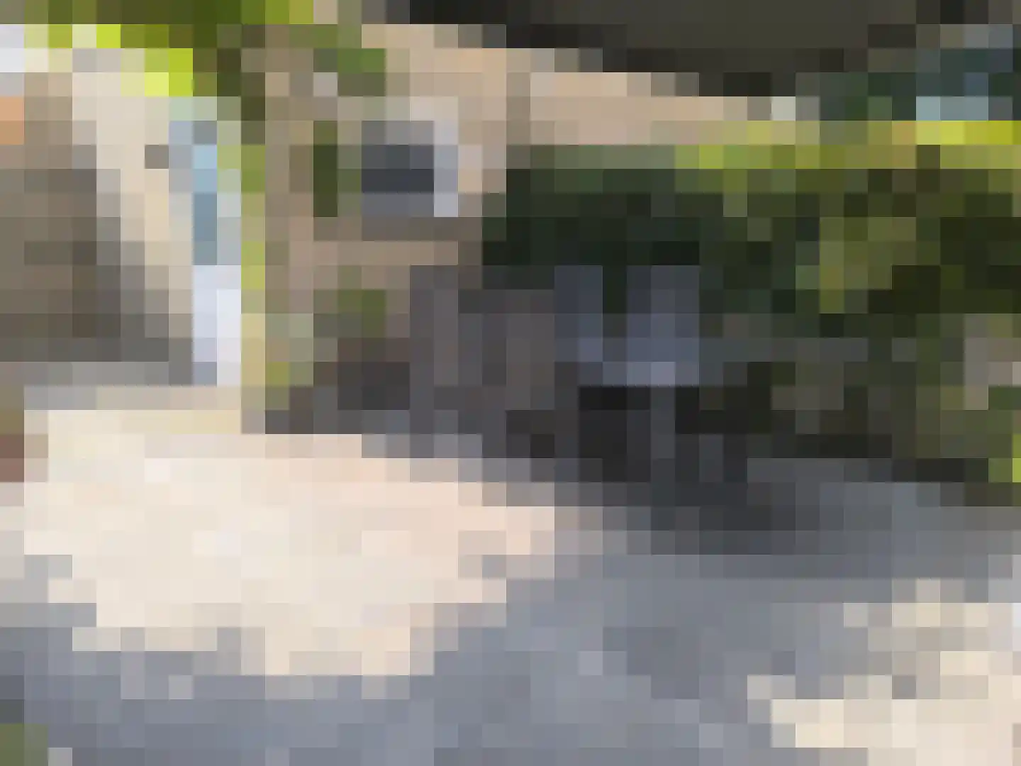 Van Leeuwenhoekstraat 115 Ridderkerk thumbnail 6