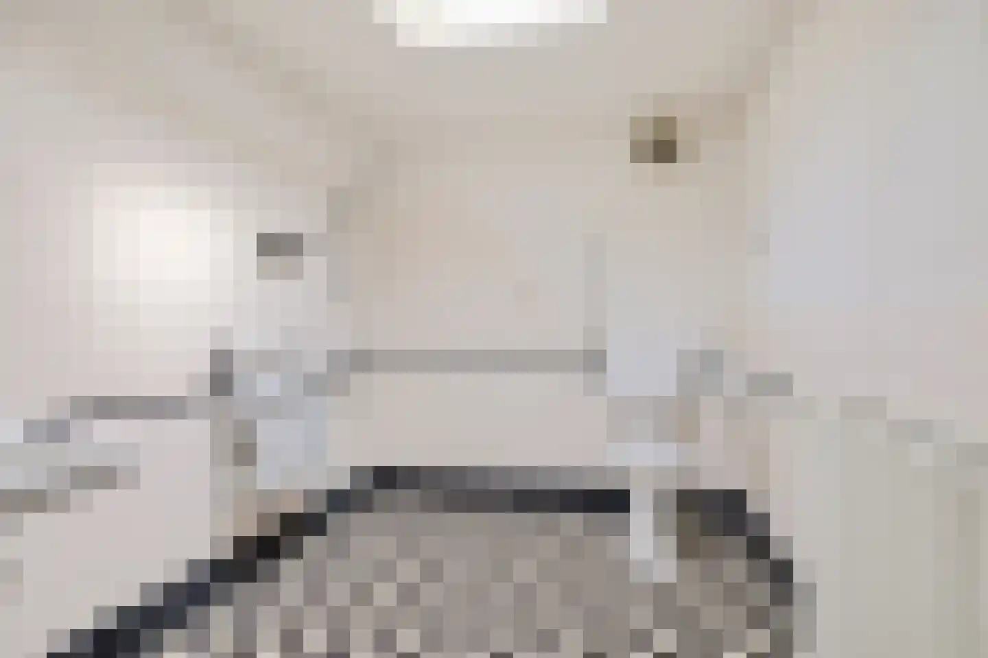 van Leeuwenhoekstraat 116 Hoogeveen thumbnail 15
