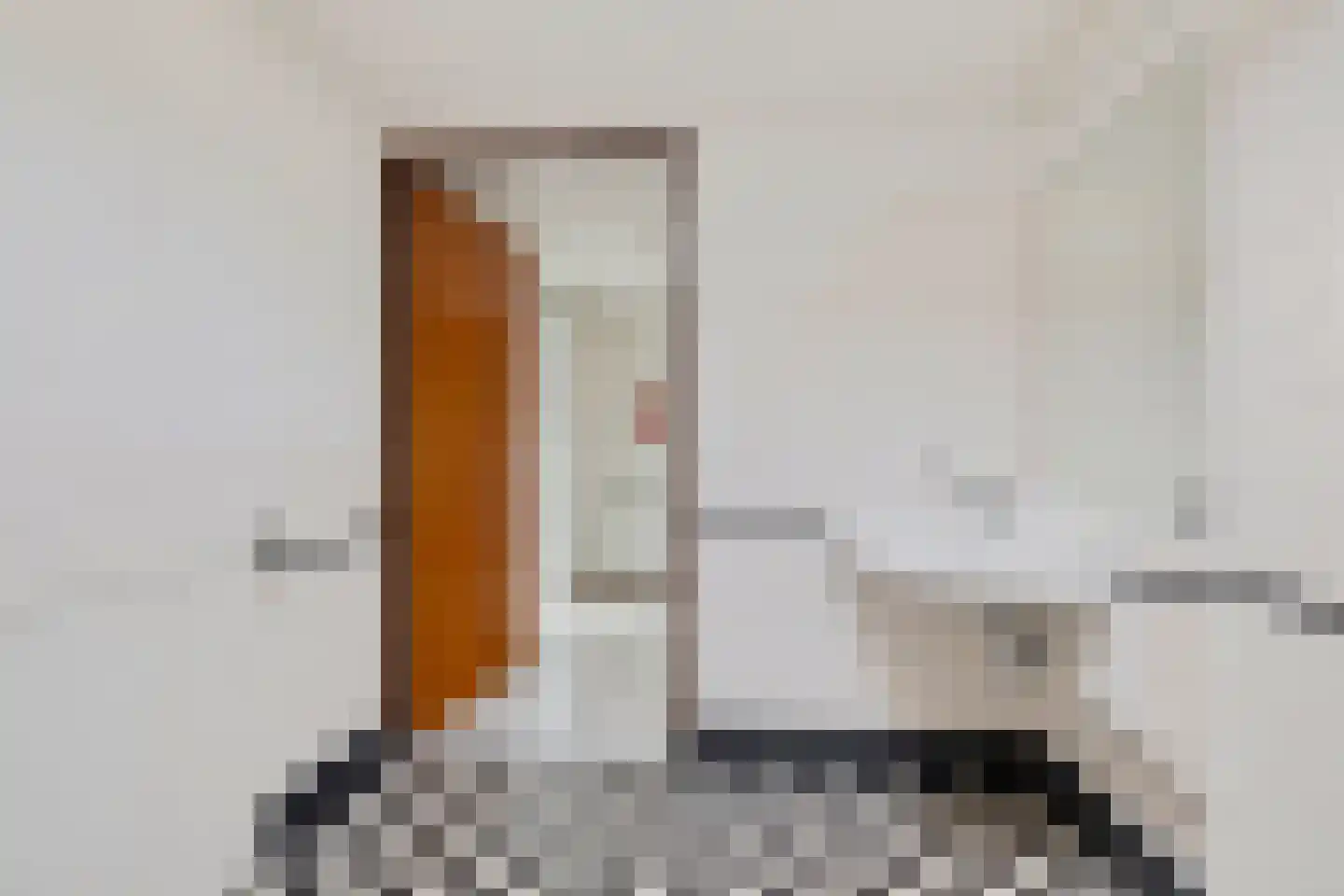 van Leeuwenhoekstraat 116 Hoogeveen thumbnail 16