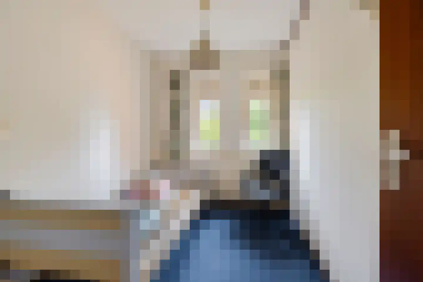 van Leeuwenhoekstraat 116 Hoogeveen thumbnail 22