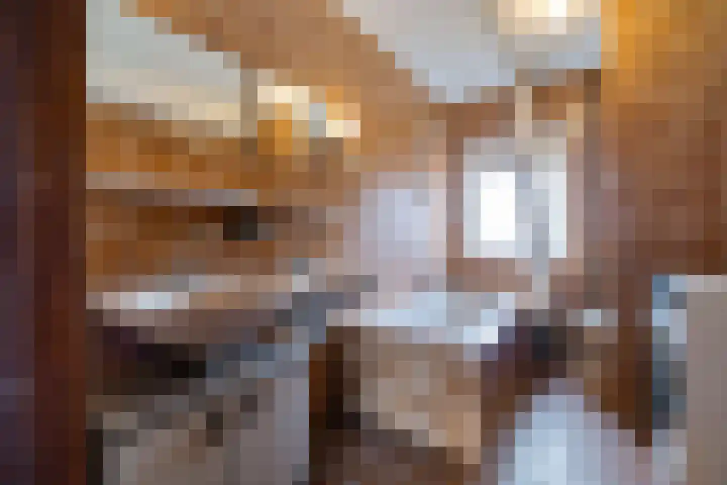 van Leeuwenhoekstraat 116 Hoogeveen thumbnail 23